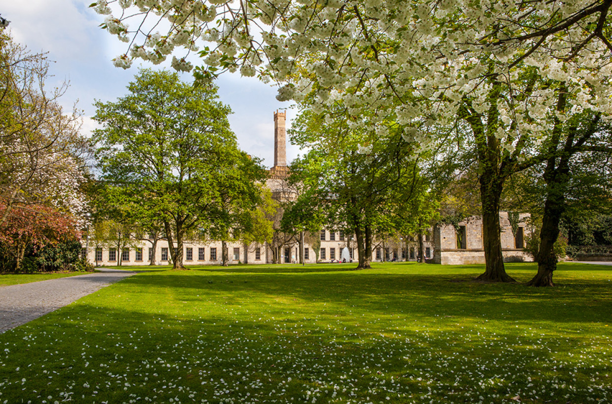 Frühling im Ravensberger Park [Foto:Patrick Piecha]