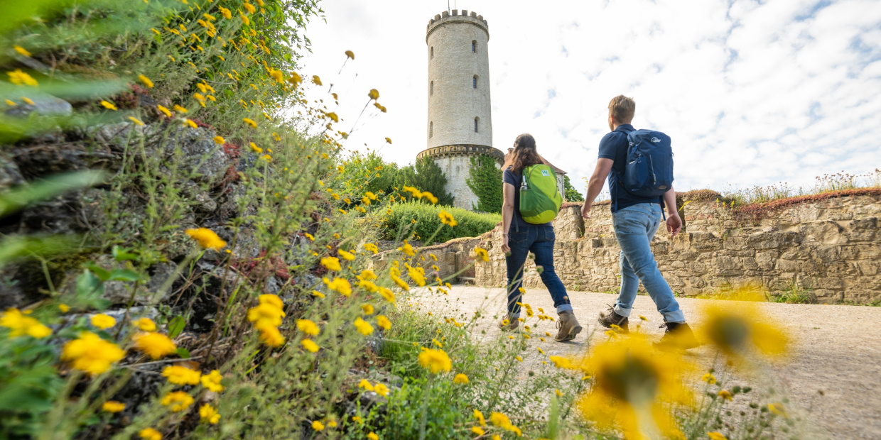 Wandern zum Sparrenburgturm