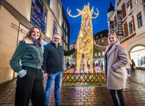 Lichttiere Bielefeld