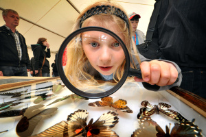 Science-Seeing Bielefeld